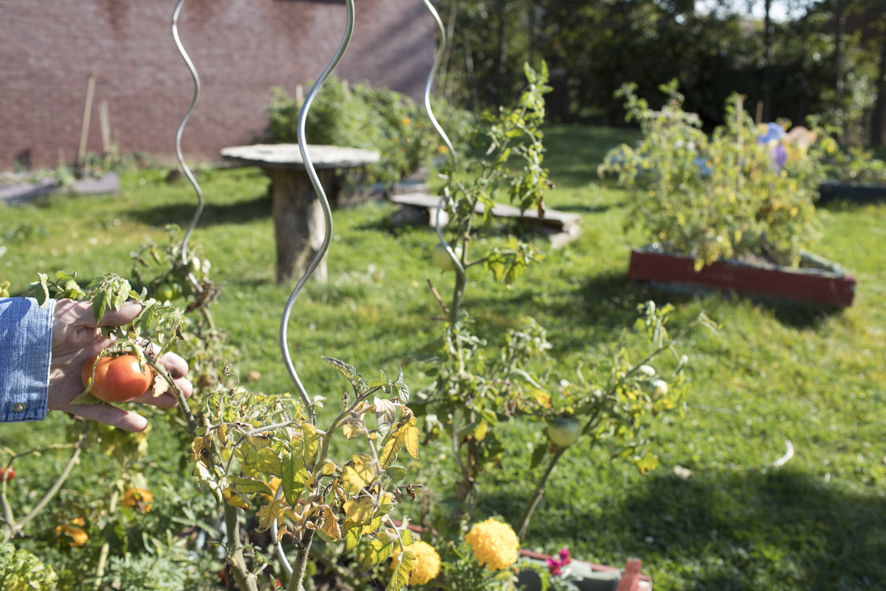 Jardin au sein de la Maison de Soins Psychiatriques