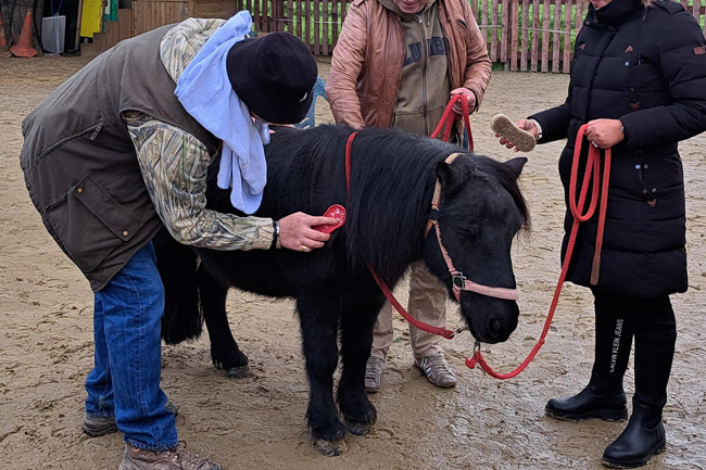 Hippothérapie unité de soins Améthyste