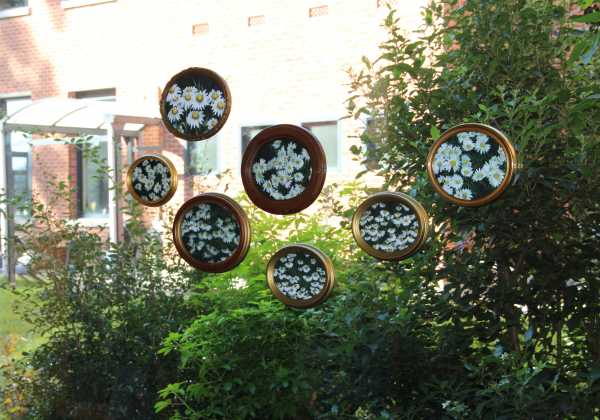 Exposition « Battements »